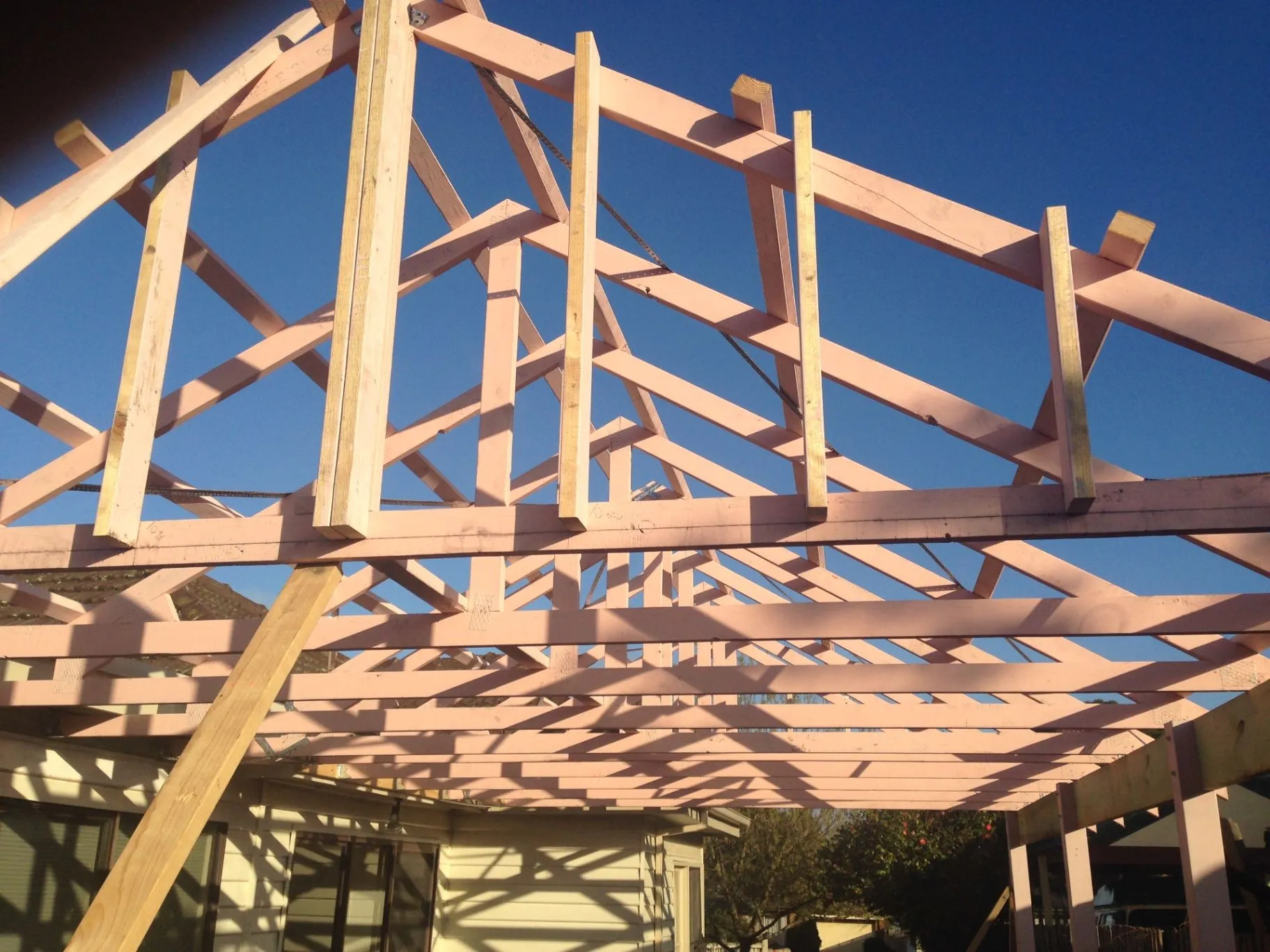 New timber roof framing over the Bentleigh East rear extension against a blue sky